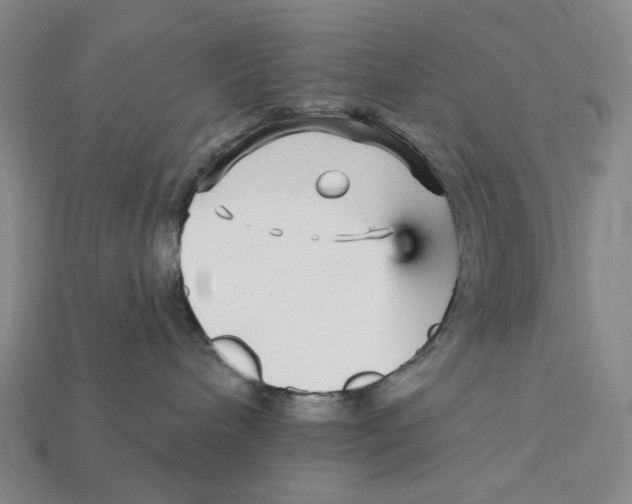 X0000112430240200909111036