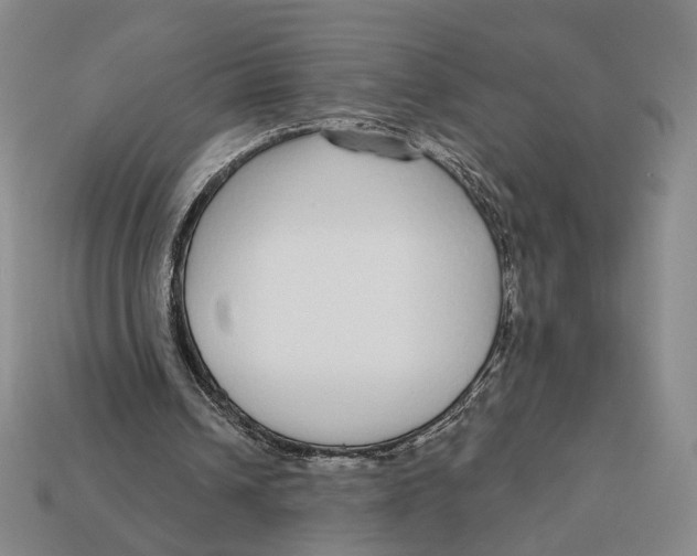 X0000112430242200909111035