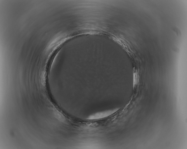 X0000112430243200909111035