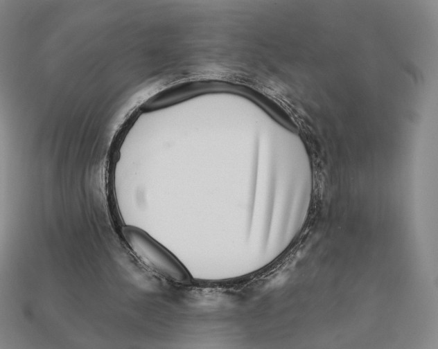 X0000112430244200909111036