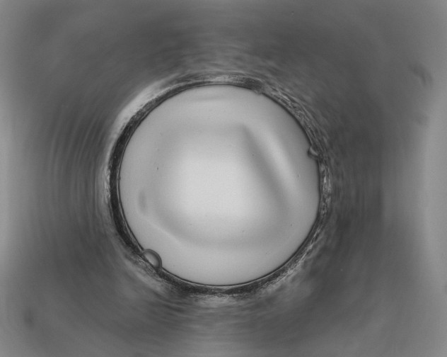 X0000112430246200909111036