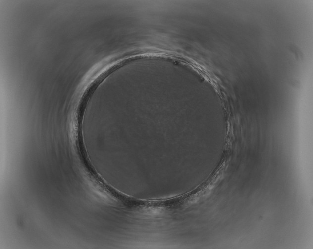 X0000112430247200909111036