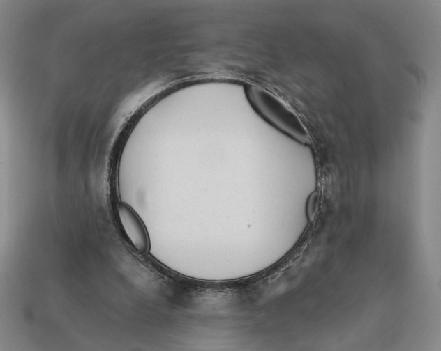 X0000112430248200909111036