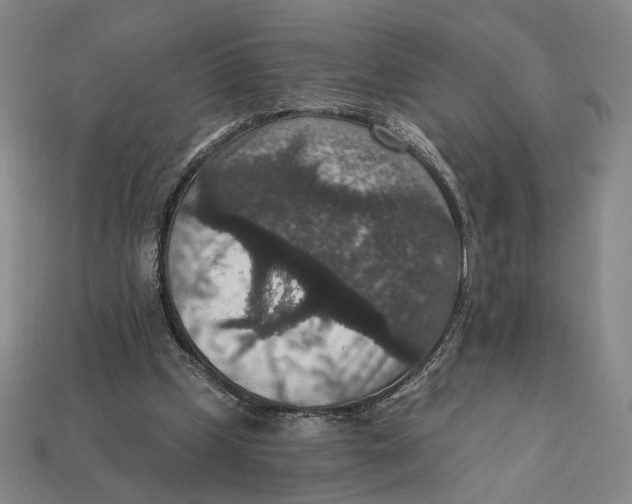 X0000112430249200909111036