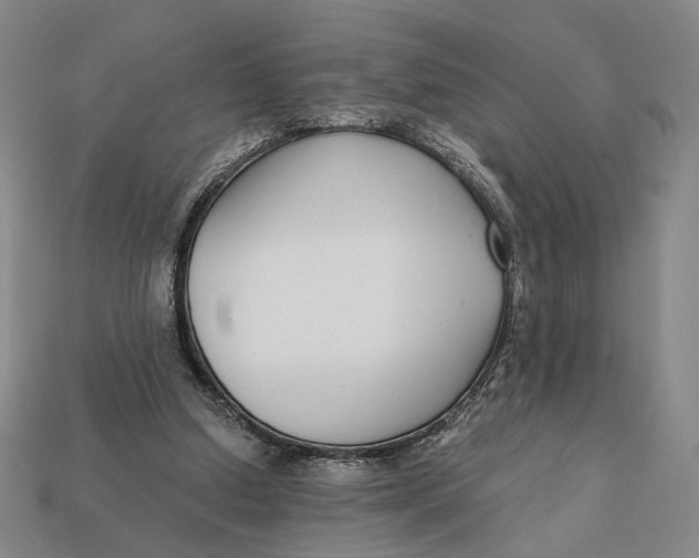 X0000112430250200909111036