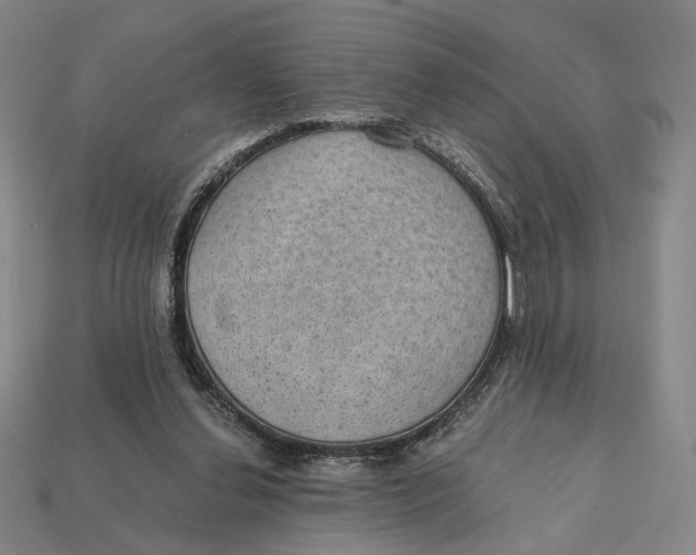 X0000112430252200909111036