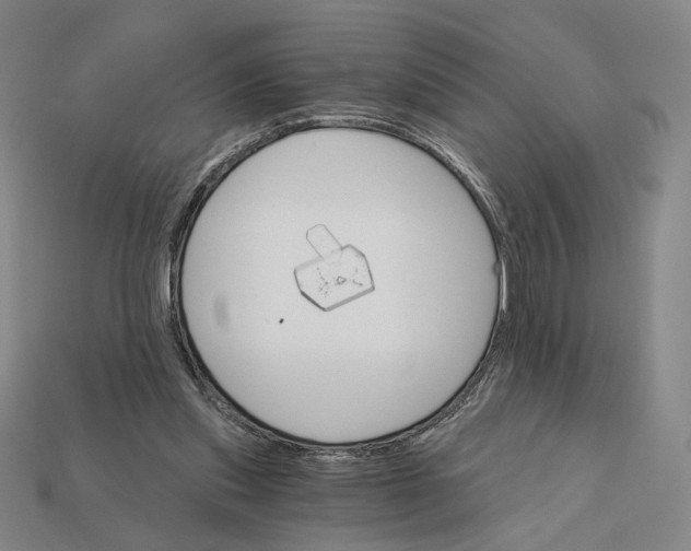 X0000112430253200909111036