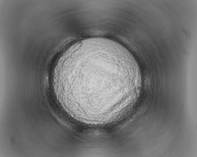 X0000112430254200909111036