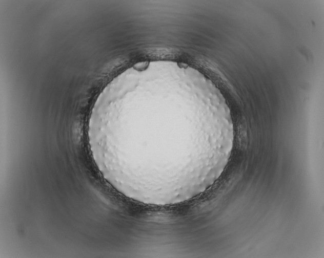 X0000112430259200909111036