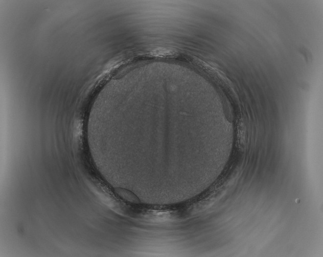 X0000112430260200909111036