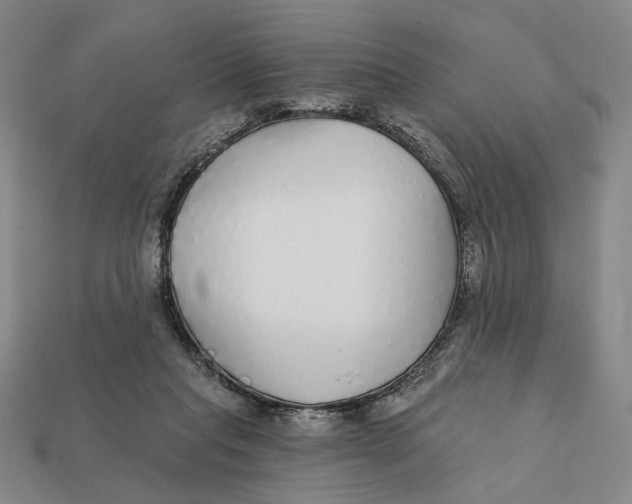 X0000112430261200909111036