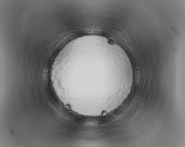X0000112430263200909111036