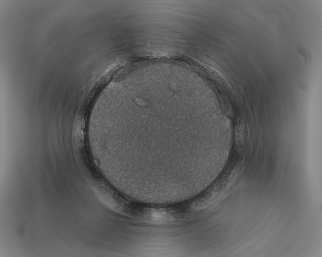X0000112430264200909111036