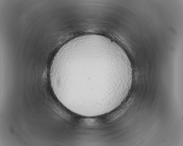 X0000112430265200909111036