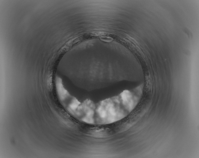X0000112430267200909111036