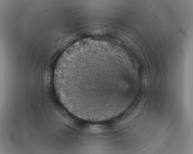 X0000112430268200909111036