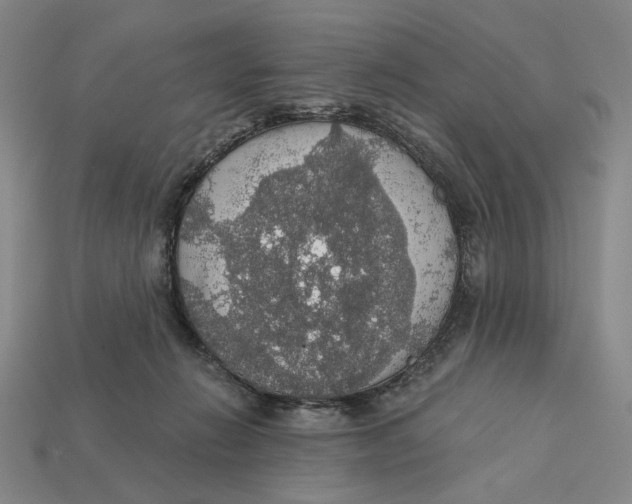X0000112430270200909111036