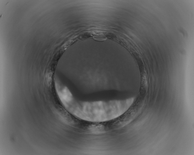 X0000112430271200909111036