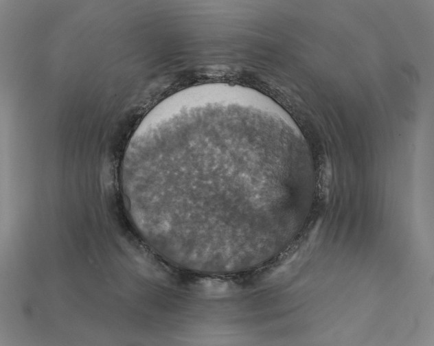 X0000112430272200909111036