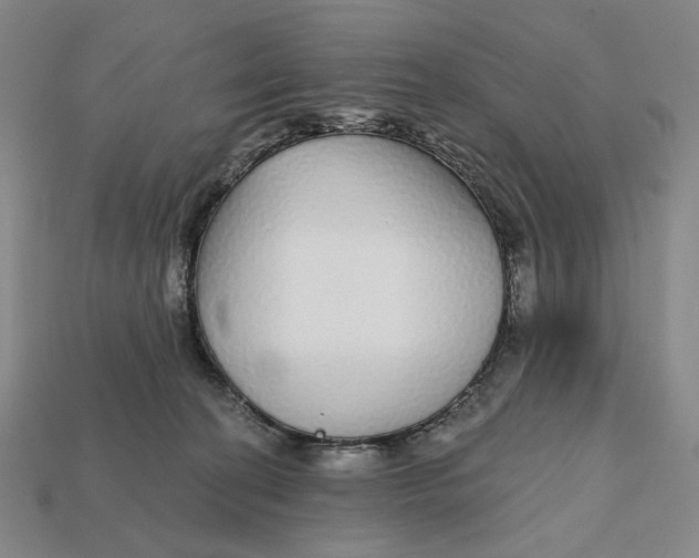 X0000112430274200909111036