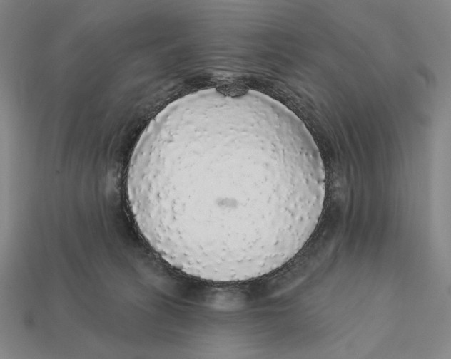 X0000112430275200909111036