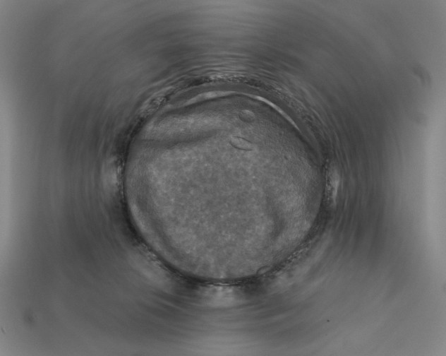 X0000112430276200909111036