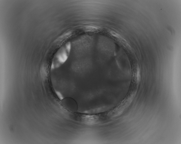 X0000112430277200909111036