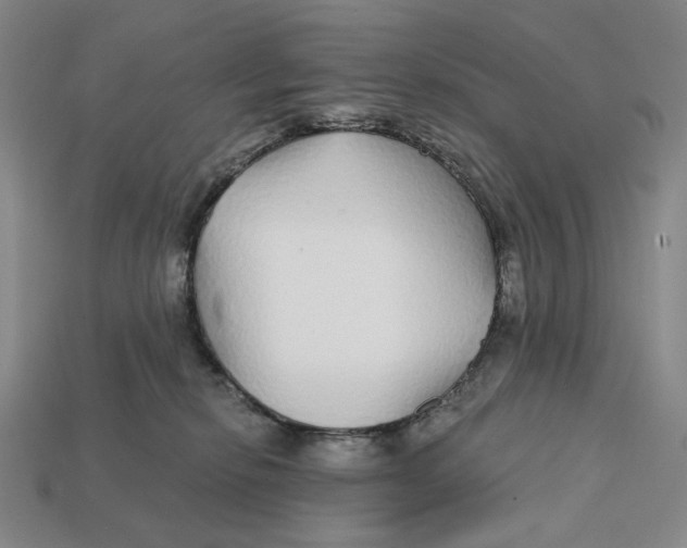 X0000112430278200909111036