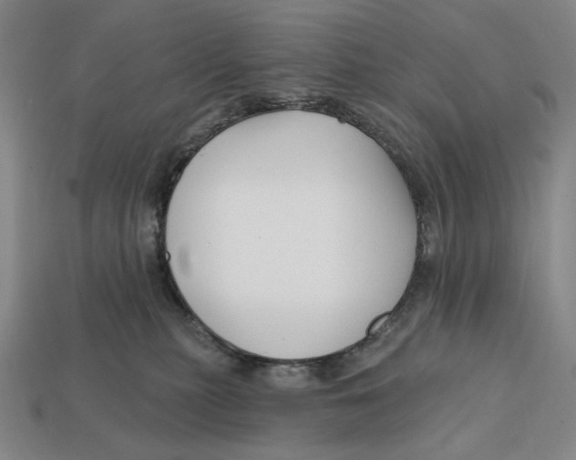 X0000112430279200909111036