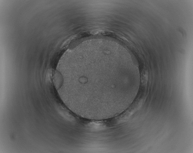 X0000112430280200909111036