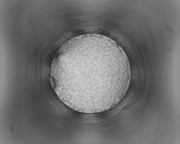 X0000112430281200909111036