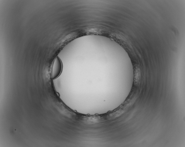 X0000112430282200909111036