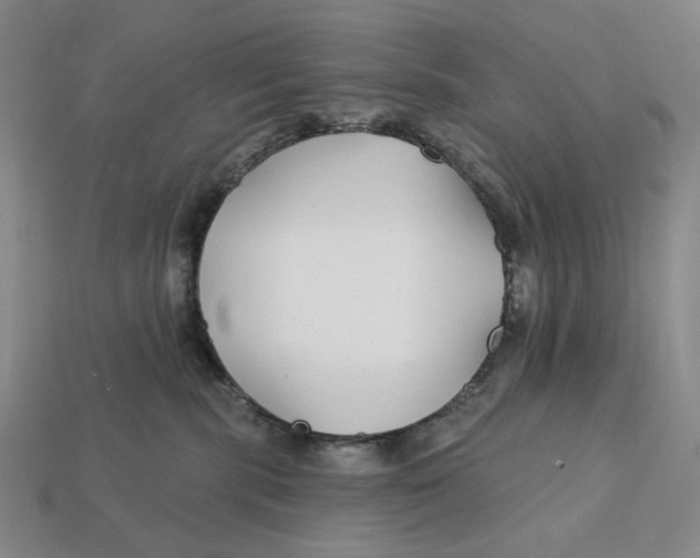X0000112430283200909111036