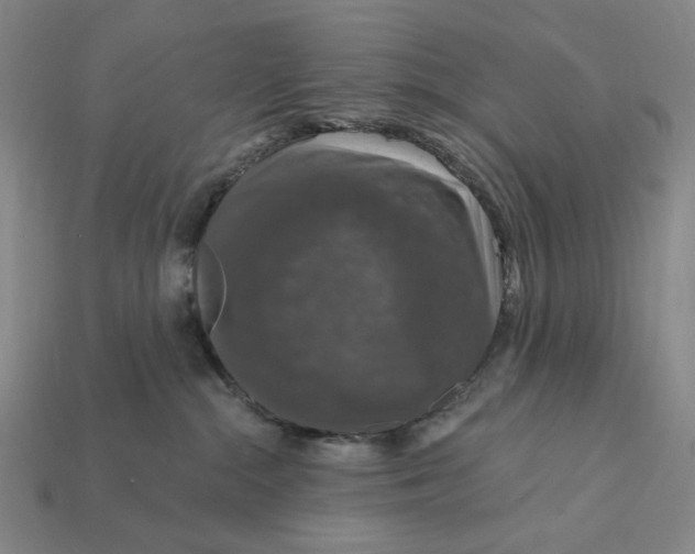 X0000112430284200909111036