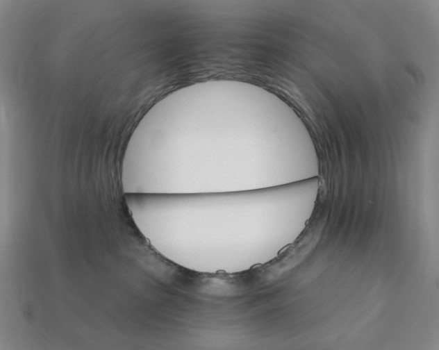 X0000112430285200909111036