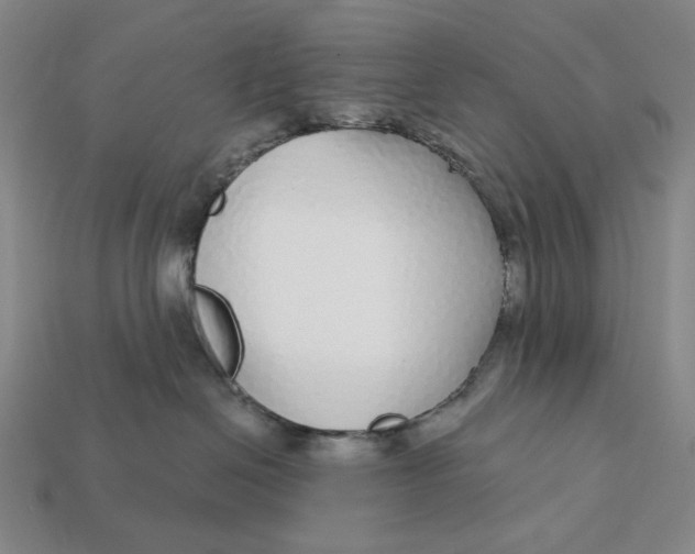 X0000112430286200909111036