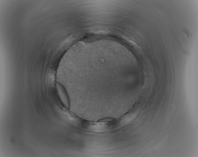 X0000112430288200909111036