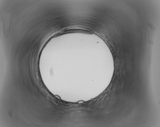 X0000112430289200909111035