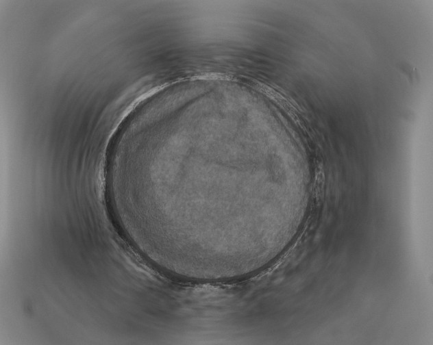 X0000112430290200909111035