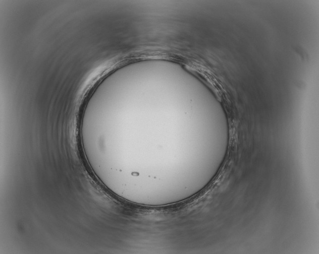 X0000112430293200909111035