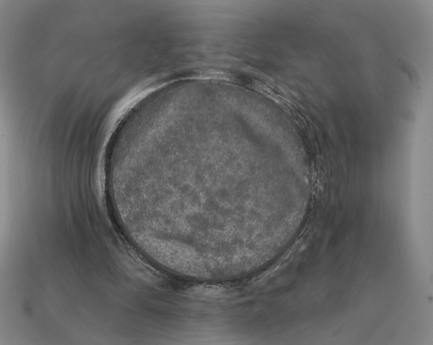 X0000112430294200909111035