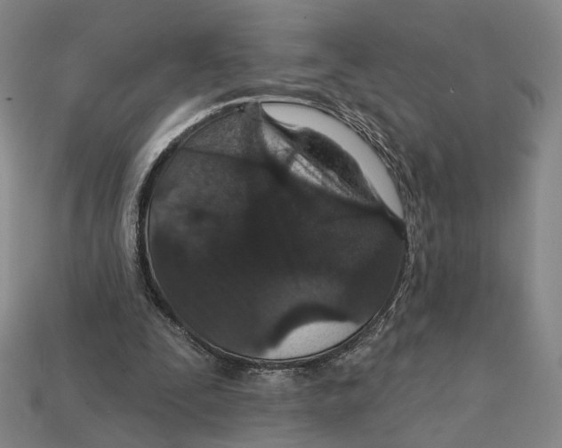 X0000112430295200909111035