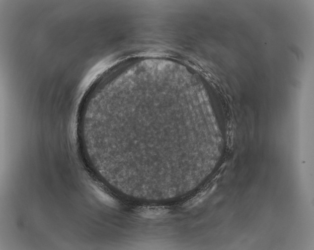 X0000112430296200909111035