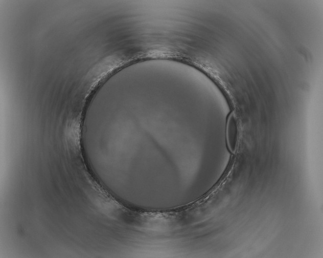 X0000112430297200909111035