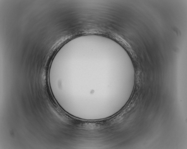 X0000112430298200909111035