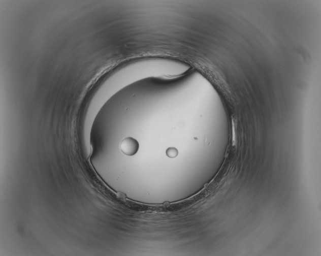 X0000112430300200909111035