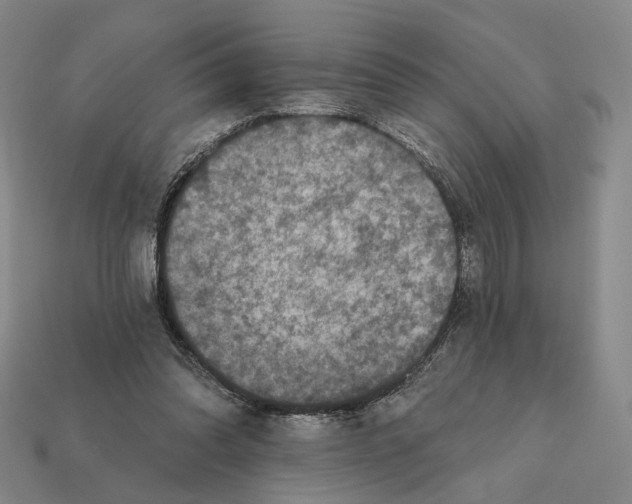 X0000112430302200909111035