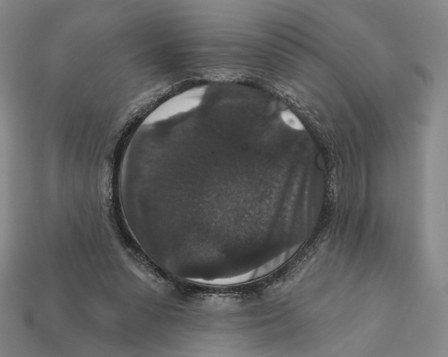 X0000112430303200909111035