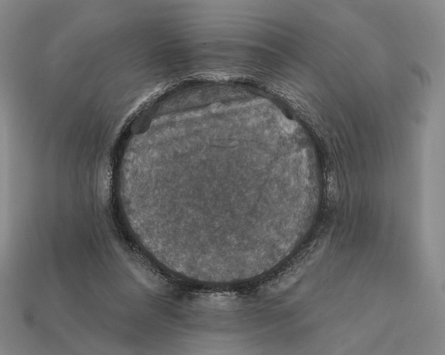 X0000112430304200909111035
