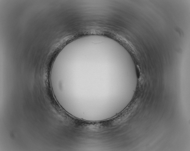 X0000112430306200909111035
